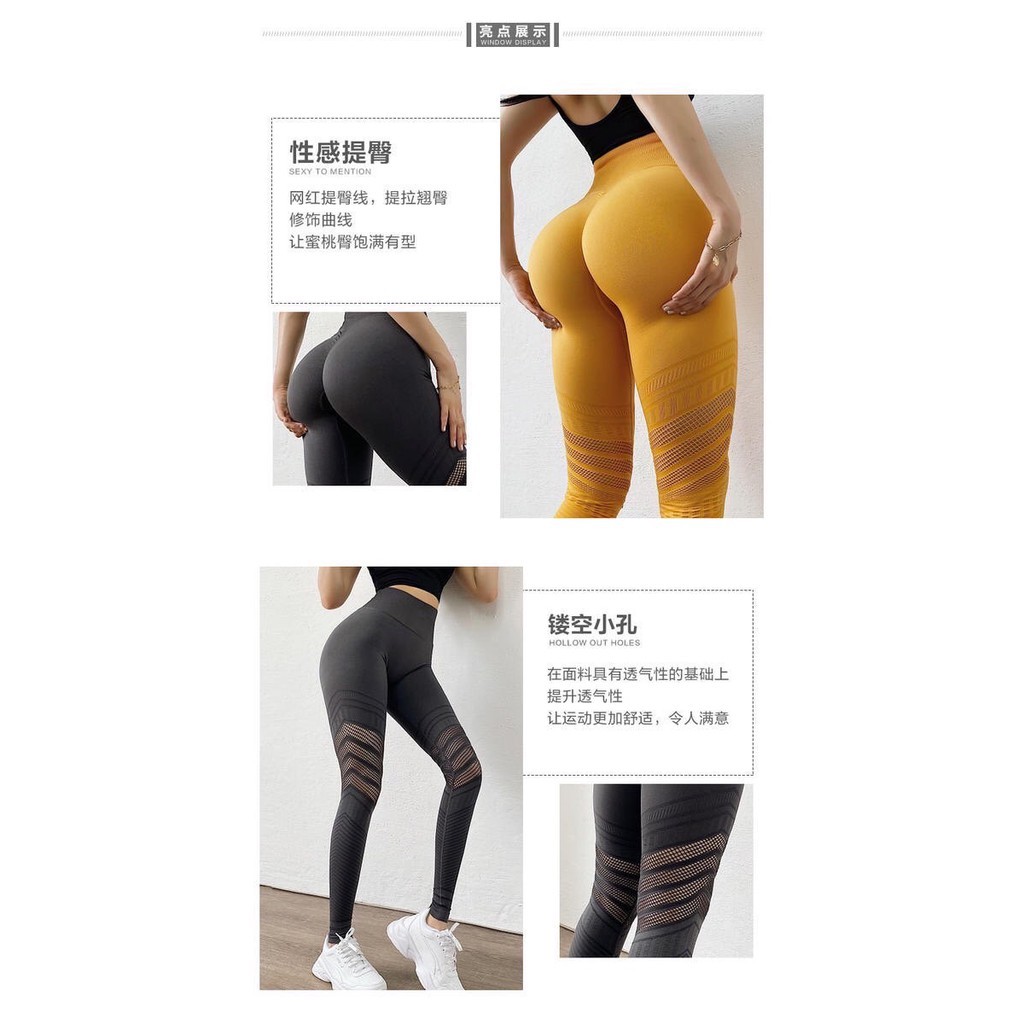 Quần Tập Gym Nữ [Quần dài] Legging Lưới Chun [ĐỒ TẬP GYM NỮ]