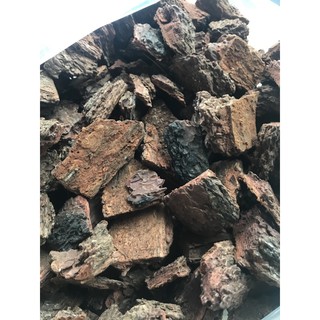 Vỏ thông 3-4cm trồng lan