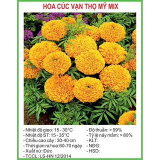 Hạt Giống Cúc vạn thọ Mỹ Mix 50 Hạt/ Gói