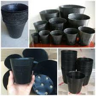 5 túi chậu bầu ươm trồng cây chọn kích cỡ