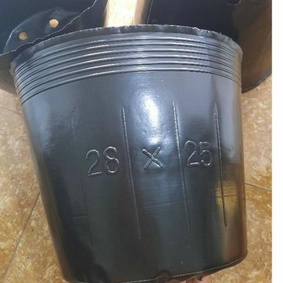 1kg chậu ươm (bầu) cây 28x25 hàng dày đẹp