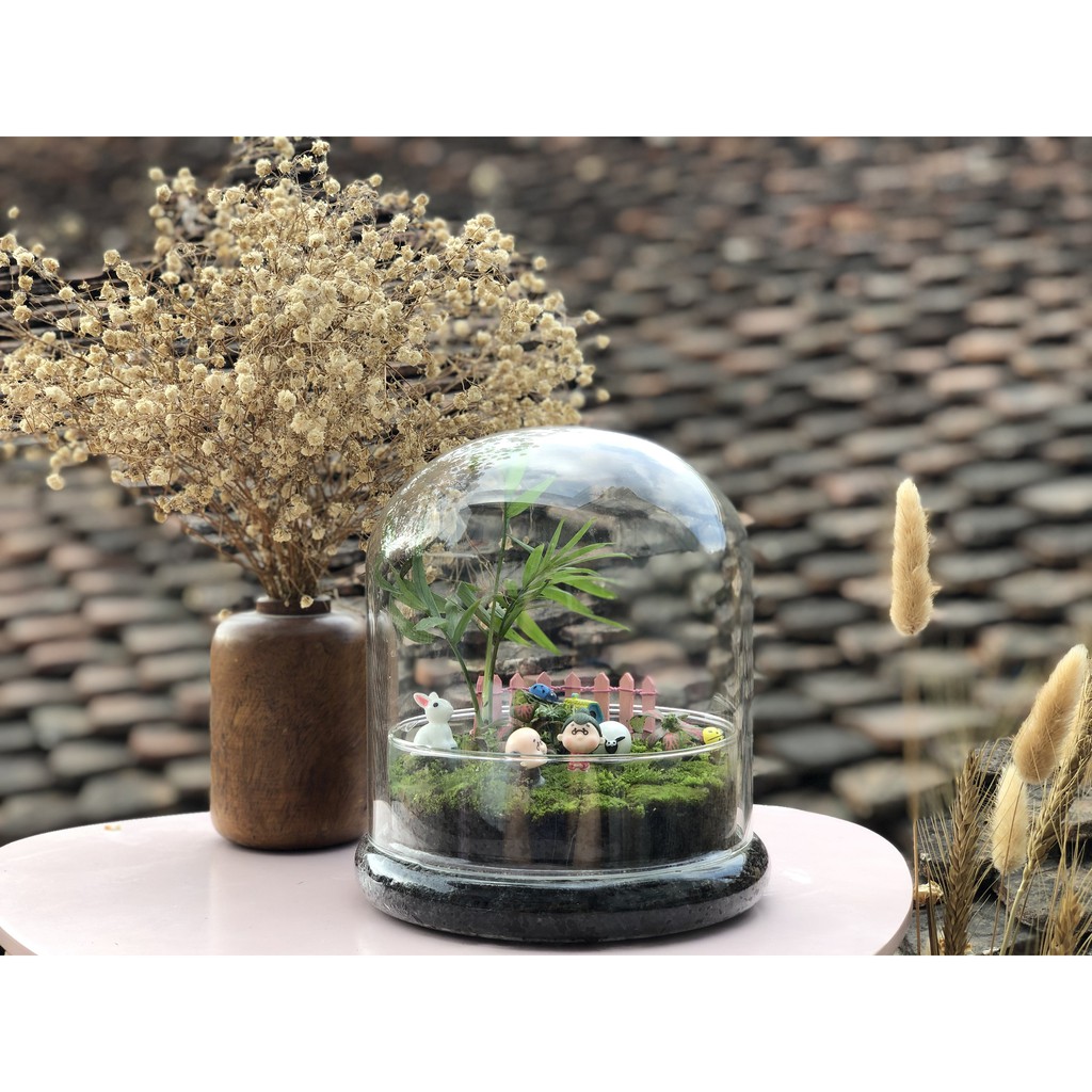 {Hàng siêu đẹp} Bình terrarium thủy tinh trong suốt có nắp chụp để làm bể tiểu cảnh terrarium