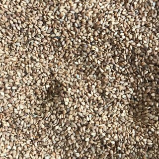 Sỉ lẻ vừng vàng 250g - 500g