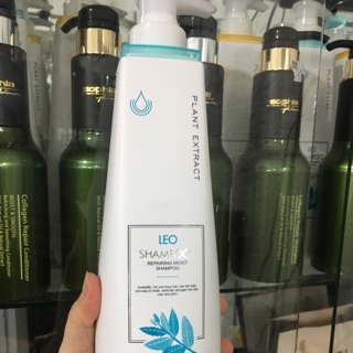 Dầu gội đầu cao cấp Leo 800 ml