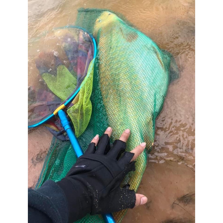 Hương Câu Cá Trâu Điên, Chuyên dùng pha chế mồi câu cá Chép,Phi,Trắm.. Siêu hiệu quả.