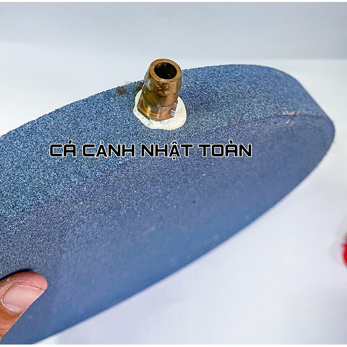 SỦI DĨA NANO SIÊU MỊN CHO BỂ CÁ CẢNH ĐƯỜNG KÍNH 30CM