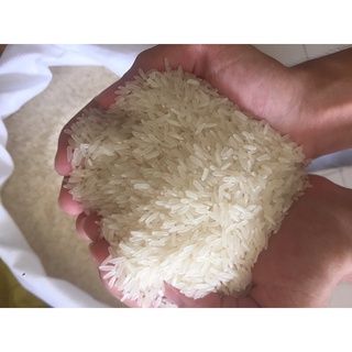 Gạo Nàng Hoa bao ngon túi 5kg , 10kg