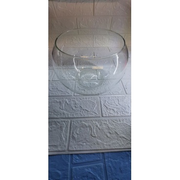 Chậu Thủy Tinh Nuôi Ốc Mượn Hồn Tặng Cát+Cây Ngẫu Nhiên