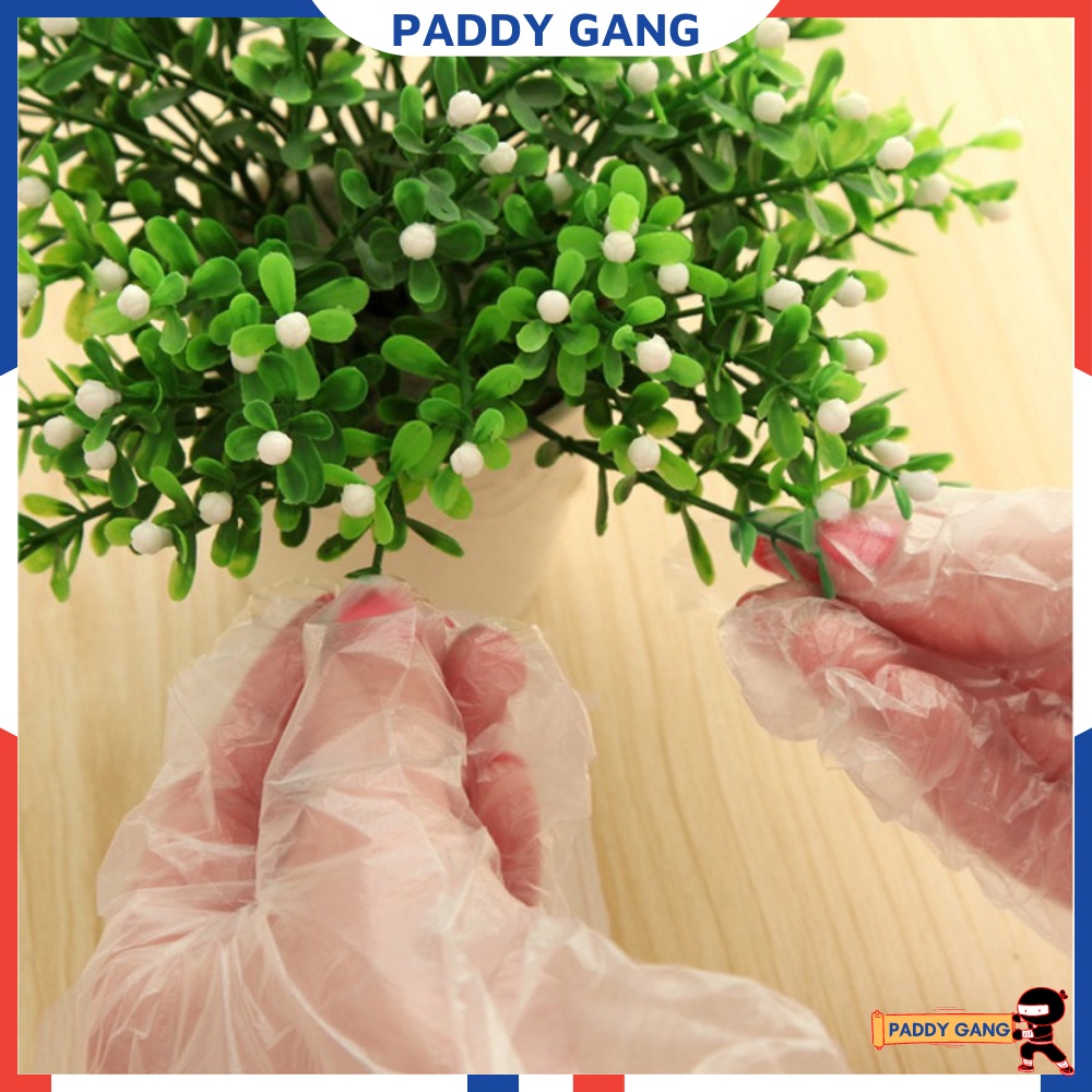 100 GăngTay Nilon Dùng 1 Lần, Găng Tay Tự Hủy Sinh Học PaddyGang