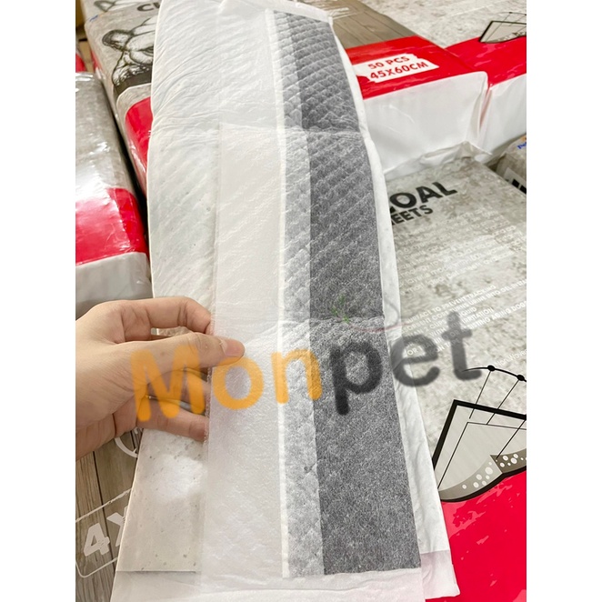 (Lẻ 1 miếng) Tã Lót Cho Chó, Tấm Miếng Lót Than Hoạt Tính CHARCOAL Vệ Sinh Cho Chó Mèo PETLAND
