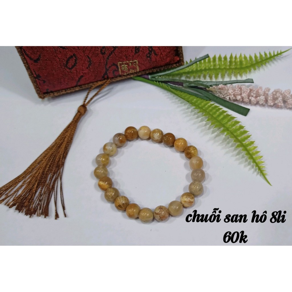 Chuỗi San Hô