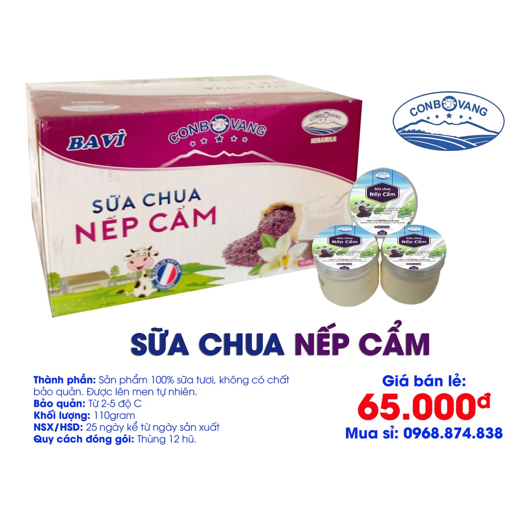 SỮA CHUA NẾP CẨM - CON BÒ VÀNG