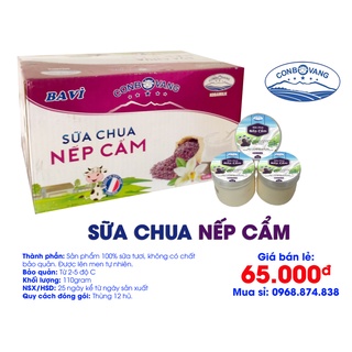 SỮA CHUA NẾP CẨM - CON BÒ VÀNG