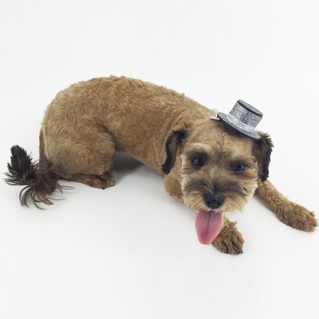 Kẹp tóc mũ tròn vành mini cho chó mèo