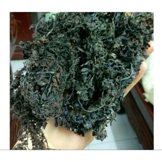 Rong biển sấy khô việt nam / rong nấu nước sâm /500gram