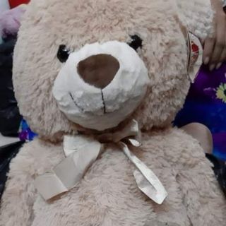 Gấu của Nguyễn Oanh