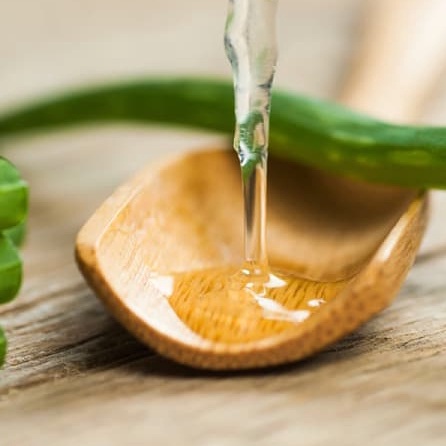 Giá Sỉ : Gel Nha Đam