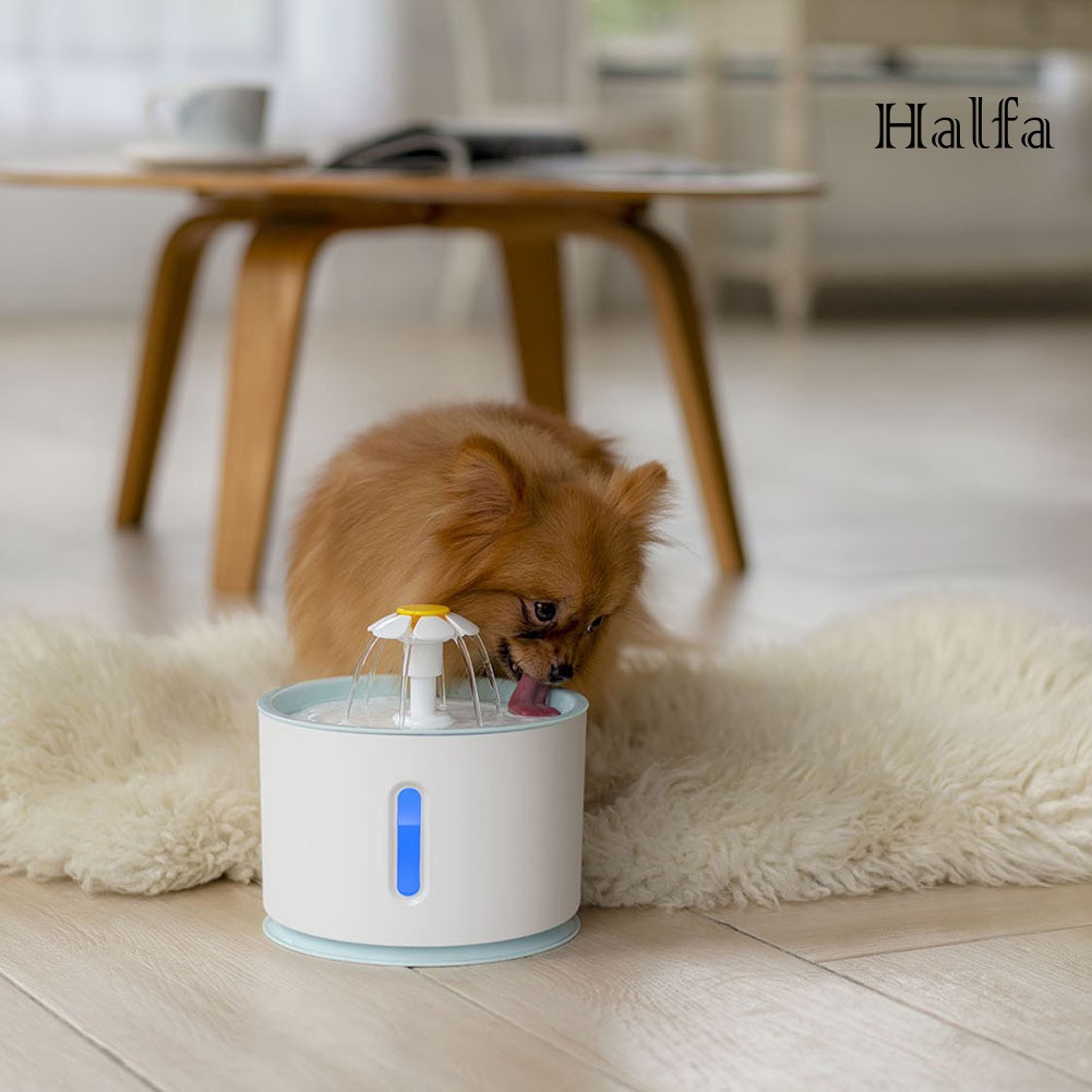 Bình Uống Nước Tự Động Cho Thú Cưng 2.4l