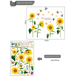 Decal dán tường Hoa hướng dương