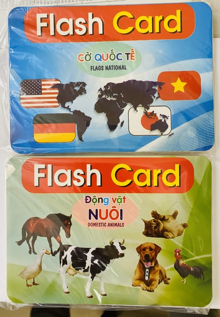 Bộ Thẻ Học Thông Minh 15 Chủ Đề loại to song ngữ tiếng Anh loại chuẩn Glenn Doman Flashcard cho bé từ 0-6 tuổi