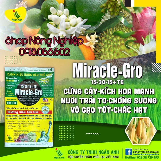 Phân bón lá Miracle Gro 153015 giúp đâm chồi xanh lá các loại cây trồng