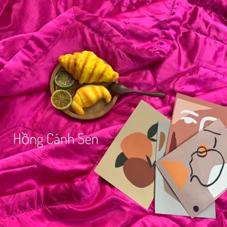 Drap phi lụa cao cấp ko mền
