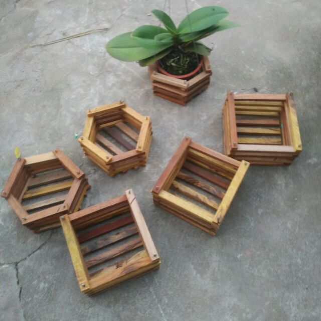 Combo 5 Chậu gỗ trồng lan hình vuông size 20cm