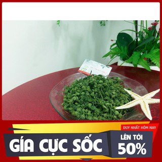 Hoa Tam Thất Bảo Quản Sạch - Loại Đặc Biệt - Dược Liệu Thanh Bình