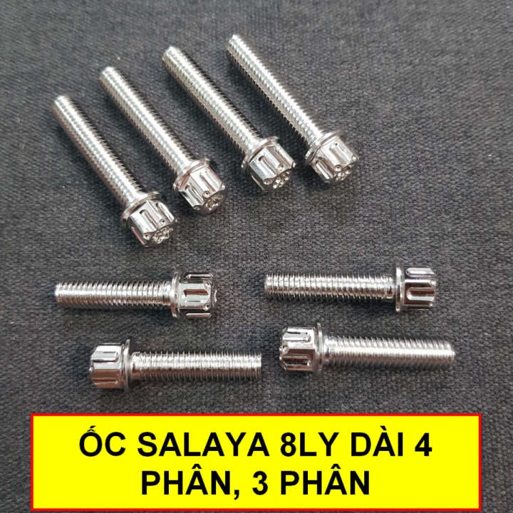 Bộ ốc inox Salaya dùng gắn gác chân, ghi đông, chảng ba cho nhiều loại xe máy (M8x30)