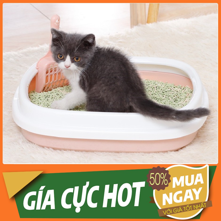 Chậu Đựng Cát Vệ Sinh Cho Mèo Tặng kèm xẻng - Khay Cát Mèo