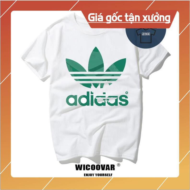 SALE!!! ALBUM 7 - BỘ SƯU TẬP ÁO THUN THU ĐÔNG 2019 ĐẸP XUẤT SẮC GIÁ RẺ