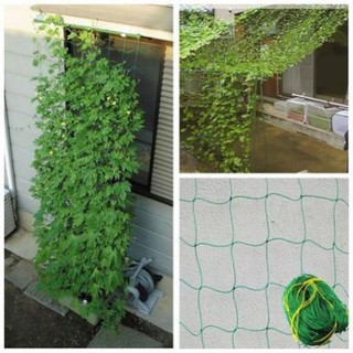 Lưới Giàn Dây Leo (Bầu, Mướp, Dưa Leo..) Khổ 2 Mét x Chiều Dài Tùy Chọn