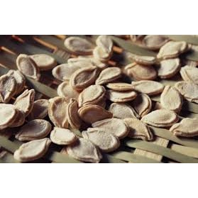 (Gói 15 hạt)Hạt giống bí đao siêu trái ,dễ trồng kháng bệnh tốt năng suất cao-Tổng kho hạt giống giá rẻ