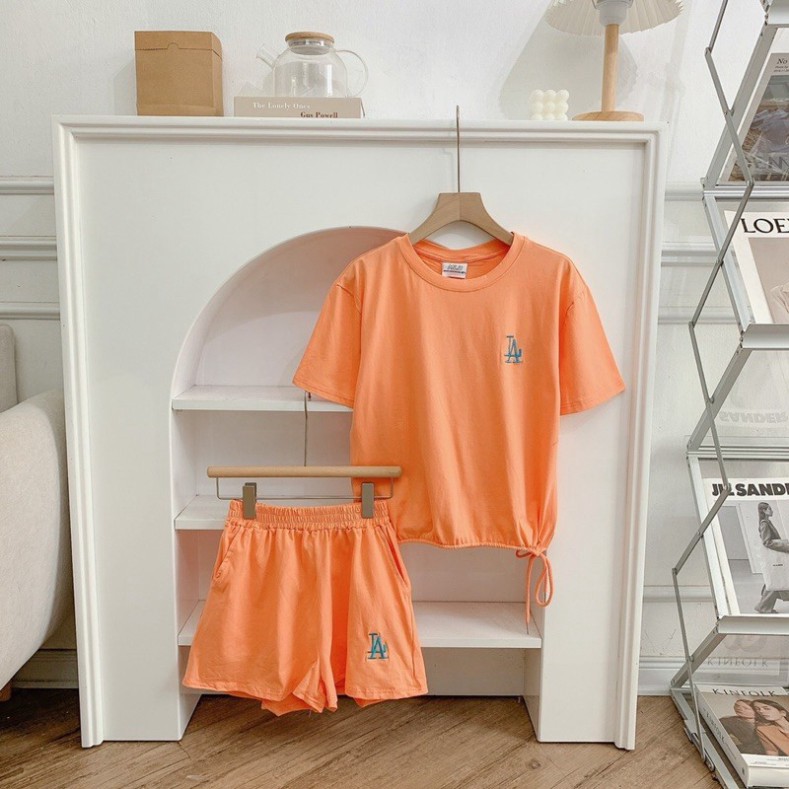 đồ bộ nữ quần đùi áo cộc tay chun lá 3M chất cotton 4 chiều cao cấp