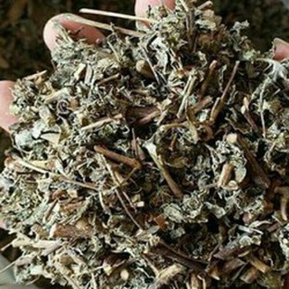 Cây Chè Dây Khô 1kg