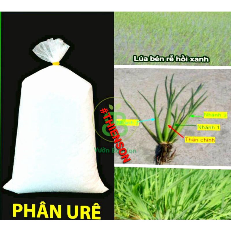 Phân Lạnh ( URÊ) 1KG Tưới Rau Và Cây Cảnh