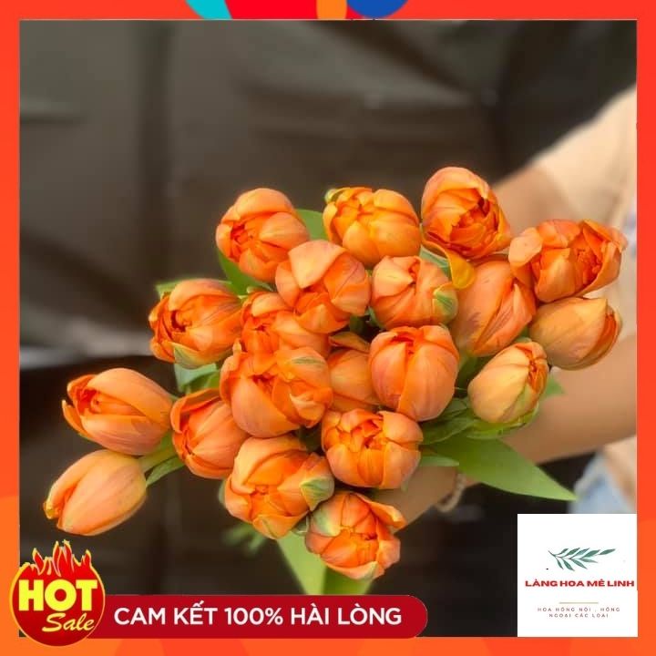 cam cánh kép, hồng đơn, trắng đơn. Đều là hàng A siêu xinh.♥️