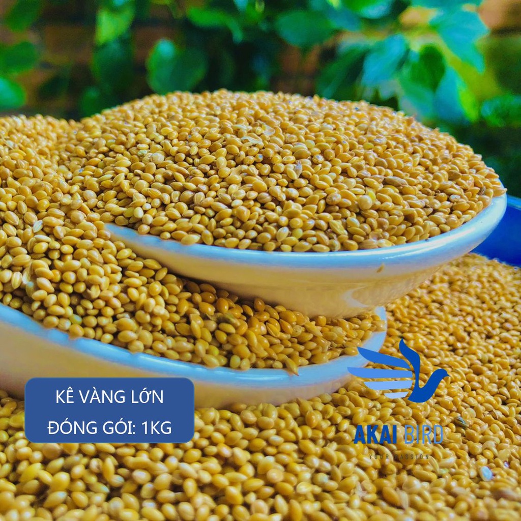 Hạt Các Loại - Kê Các Màu Cho Vẹt, Chim Cảnh, Hamster, Sóc...