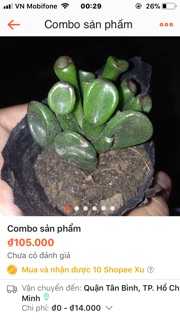 Combo sản phẩm 