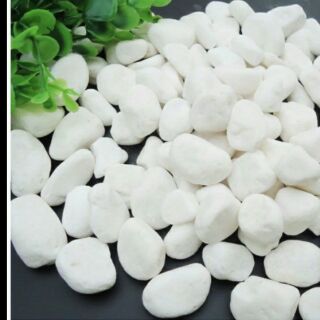 1kg đá trắng tinh trang trí chậu cây