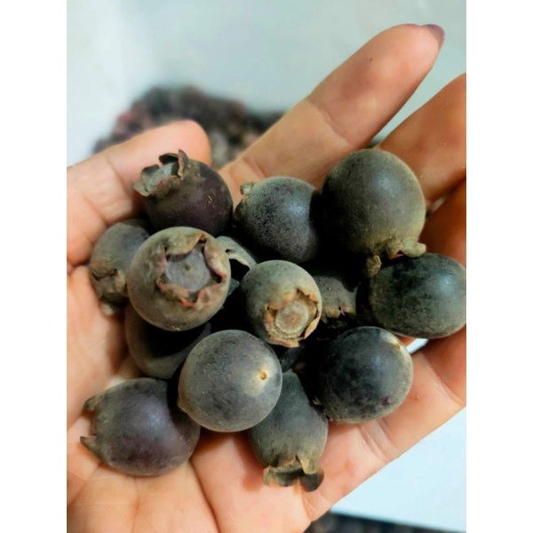 SIM RỪNG PHƠI KHÔ 1KG