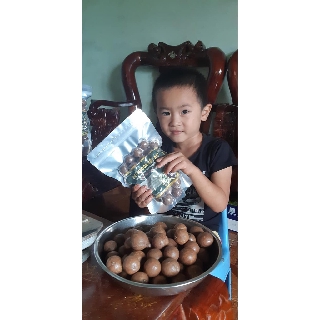 Hạt Mắc Ca Nứt Vỏ Lâm Đồng