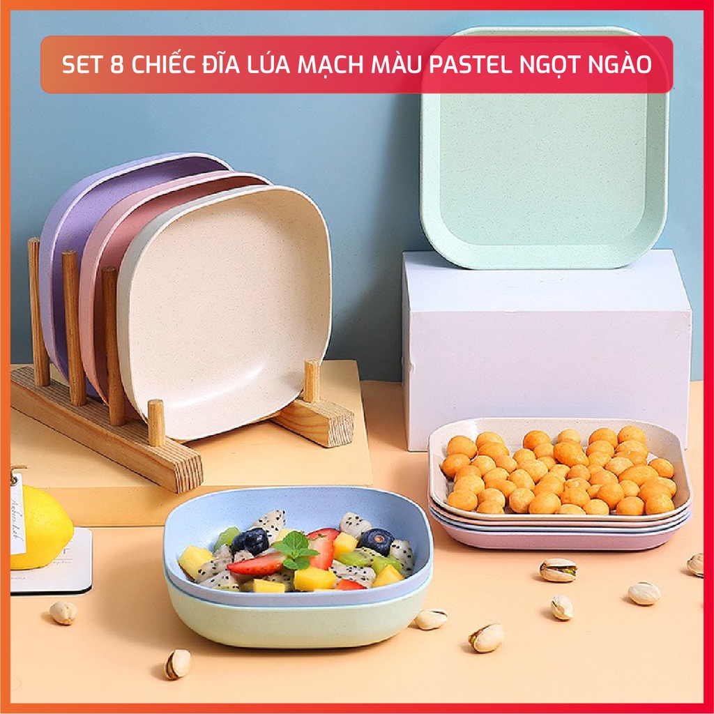 Set 8 chiếc đĩa lúa mạch mẫu mới tone màu pastel ngọt ngào