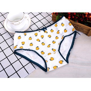 Combo 6 quần lót chất cotton QL5