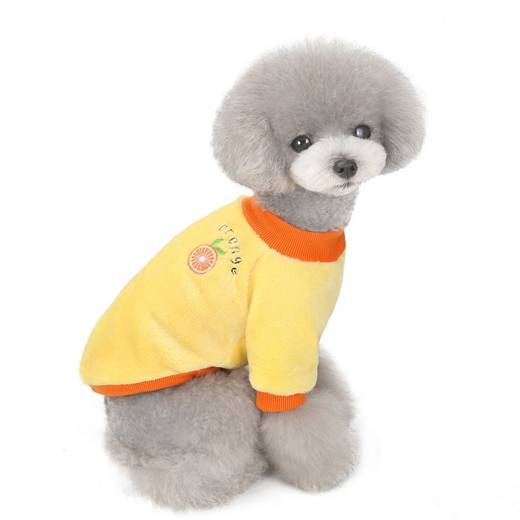 Áo len mùa đông ấm áp dễ thương cho chó mèo