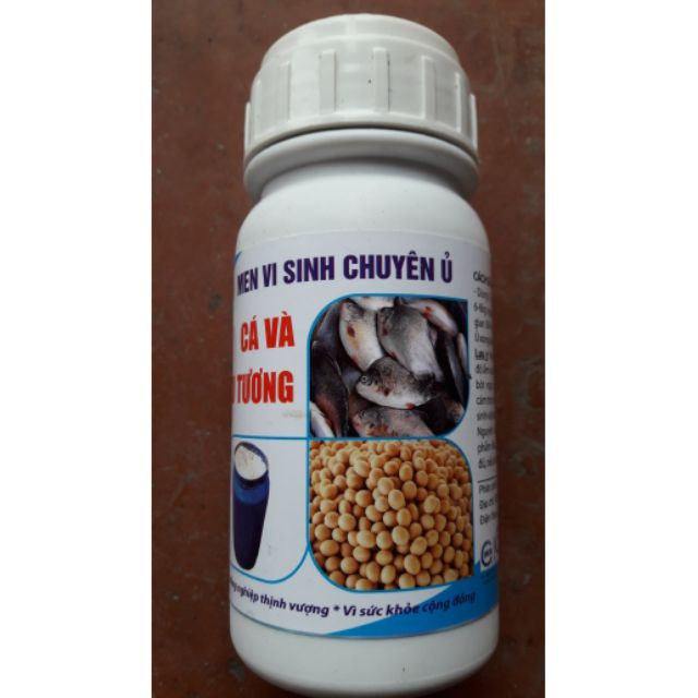 Men vi sinh ủ cá và đậu tương