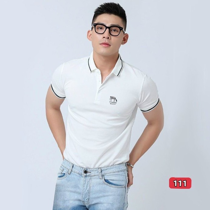 Áo thun nam cao cấp murad_fashion, áo phông nam màu trắng thêu logo đẹp phong cách thời trang nam 2021 atn111 | BigBuy360 - bigbuy360.vn