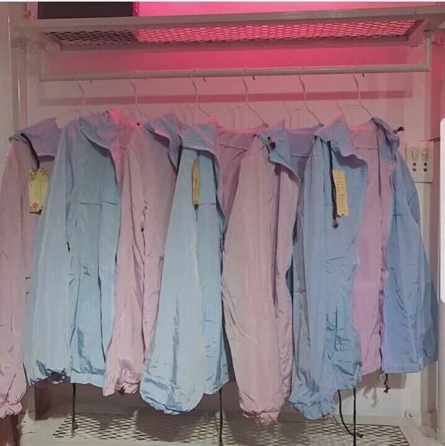 Áo gió xanh hồng