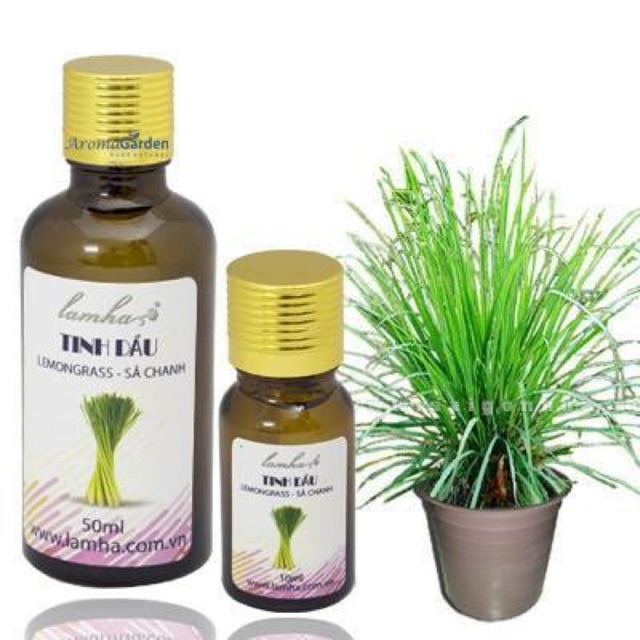 Tinh dầu sả chanh