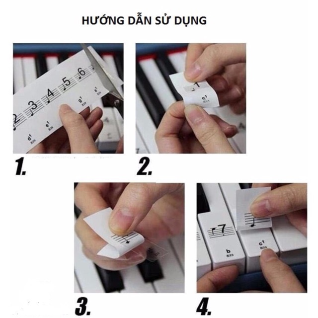 STICKER NỐT NHẠC CHO PIANO VÀ ĐÀN ORGAN- DECAL DÁN PHÍM